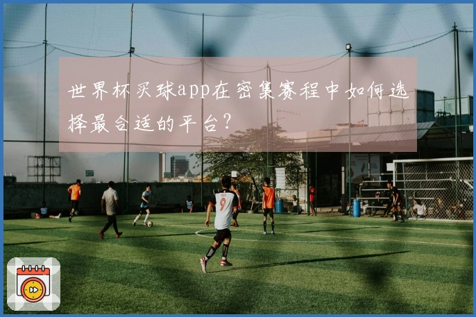 世界杯买球app在密集赛程中如何选择最合适的平台？